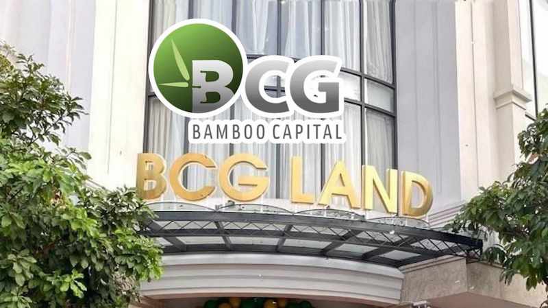 Công ty con của Bamboo Capital bị cưỡng chế thuế, dừng làm thủ tục hải quan