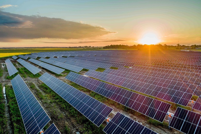 Long An: Cho doanh nghiệp thuê đất quá hạn mức quy định để làm hàng loạt nhà máy điện mặt trời